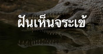 ฝันเห็นจระเข้